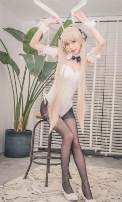 免费观看电视剧全集在线观看_DVD免费观看